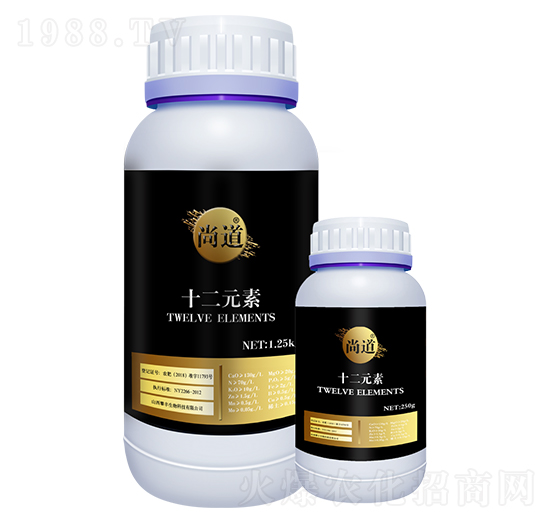 ʮ��Ԫ��-�е�-���S����