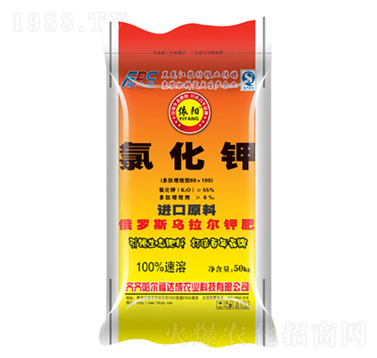 �Ȼ��-���-���_(d��)��