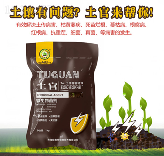 ΢�������-����-�W����