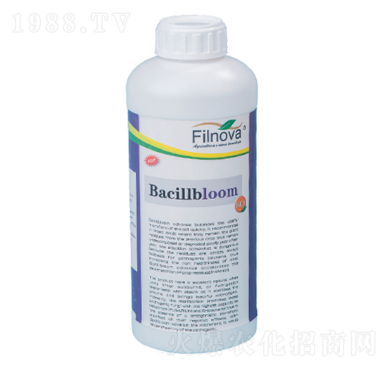 ������������B(y��ng)��-����ķ-�M���Z