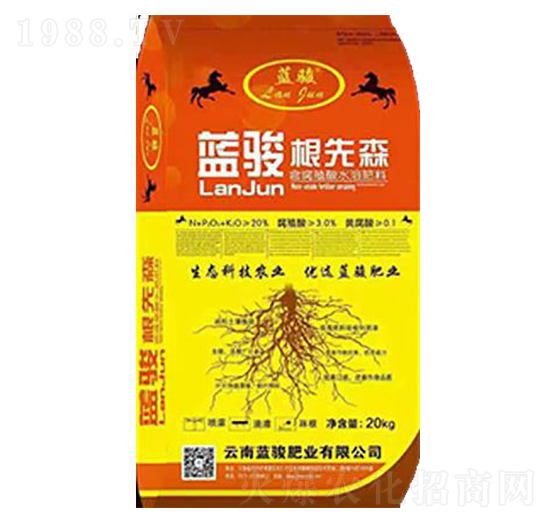 �{�E������-�{�E�ʘI(y��)