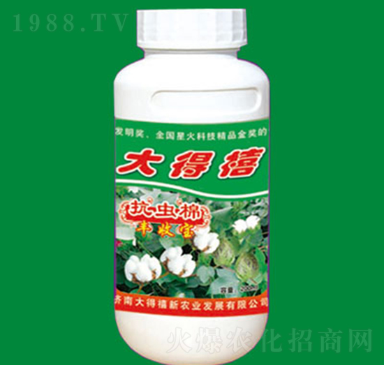 ���x��-�S�Ռ�-�����