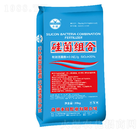 ����M��-�����ʘI(y��)