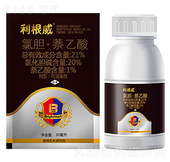 21%��đ��������-������-ӯ�x