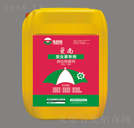 ʥŮ������΢�������-���С�����ʩ-�϶�a