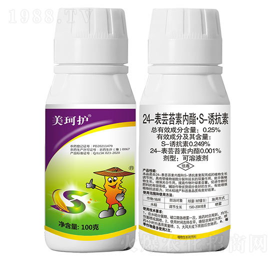 24-���|̦�؃�(n��i)����S-�T����-�����o(h��)��100�ˣ�-���r(n��ng)����