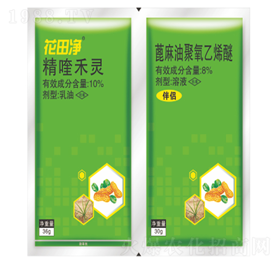 �����-ӯ�x