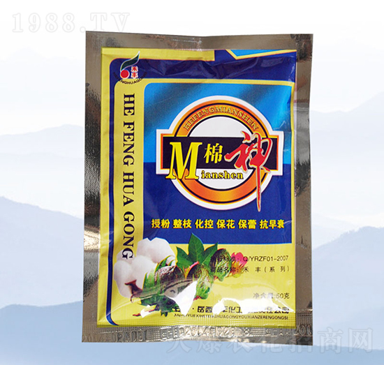 ���񣨴���-���S