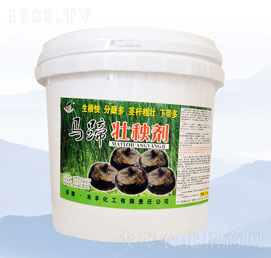 �R����턩��5kg��-���S