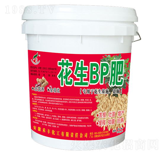 ����BP��-���S