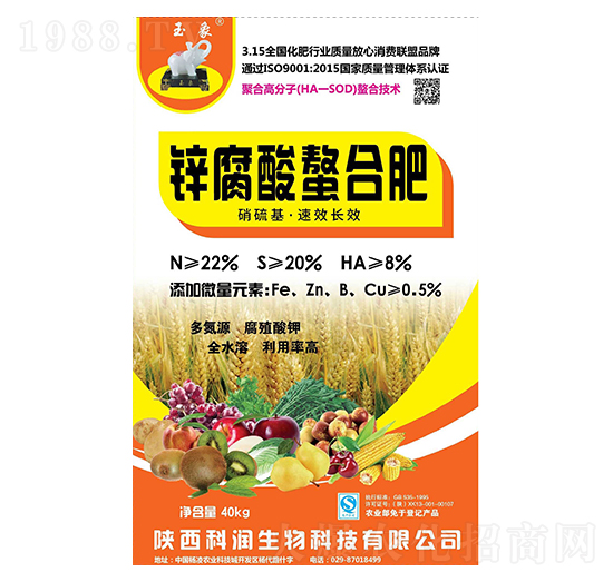 �\�������Ϸ�-�Ɲ�(r��n)����