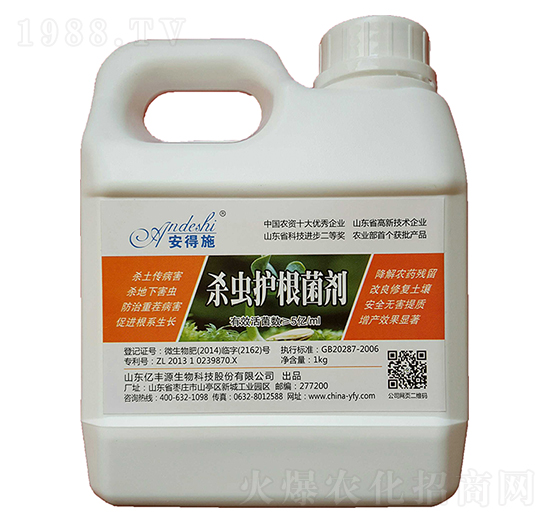 ���x�o������-�|�SԴ