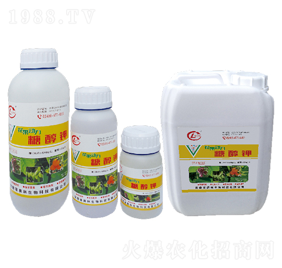 �Ǵ��-��������-�W������