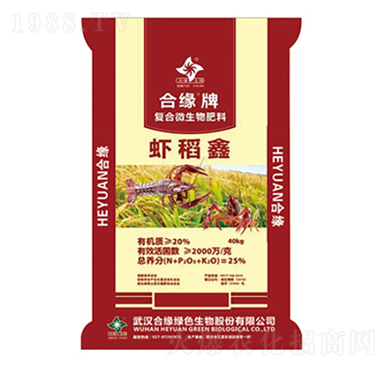 ��(f��)���������-�r����-�Ͼ���