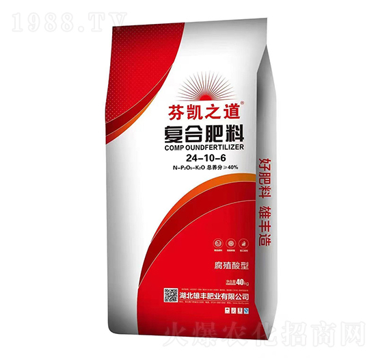 ��ֳ���͏�(f��)�Ϸ���24-10-6-�҄P֮��-���S�ʘI(y��)