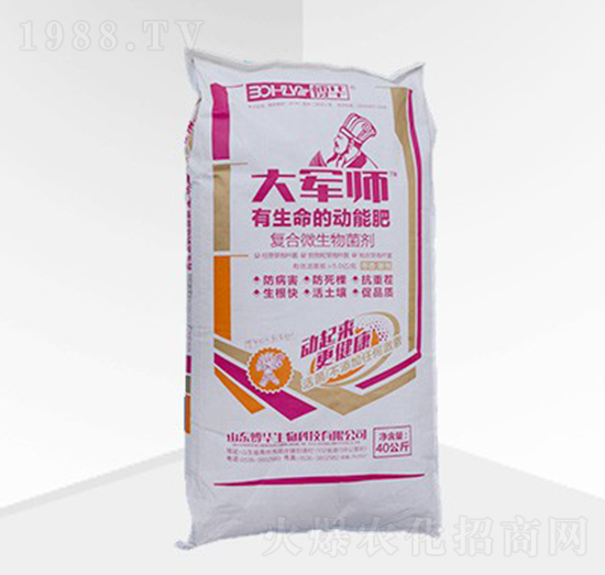 ��܊�����w����-���A����