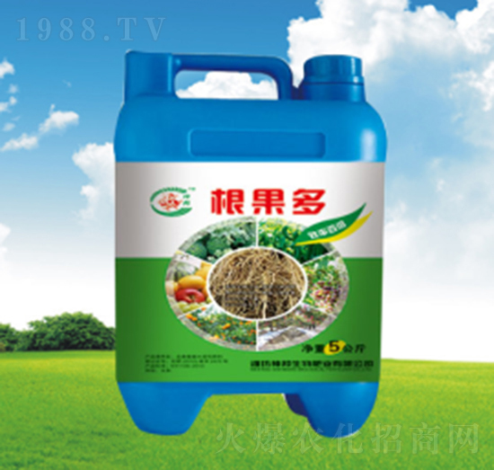 ������Ͱ��-�������