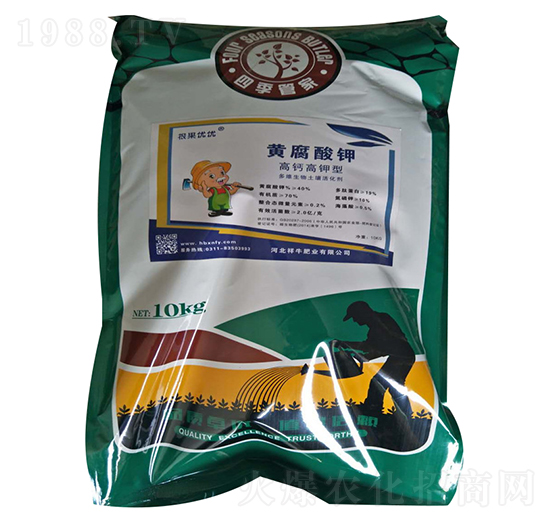 ���}������S�����-��ţ�ʘI(y��)