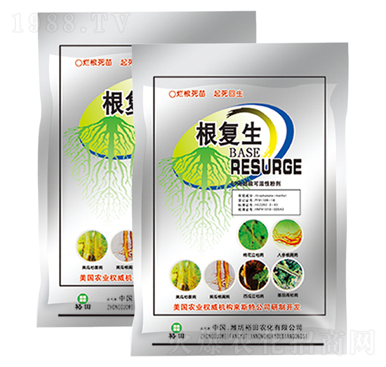 ������-ʩ����-ԣ��߿�