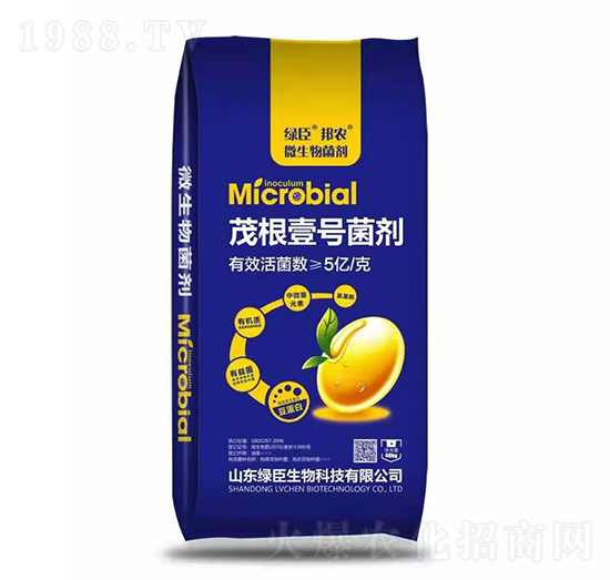 ï��Ҽ̖(h��o)����-�G������