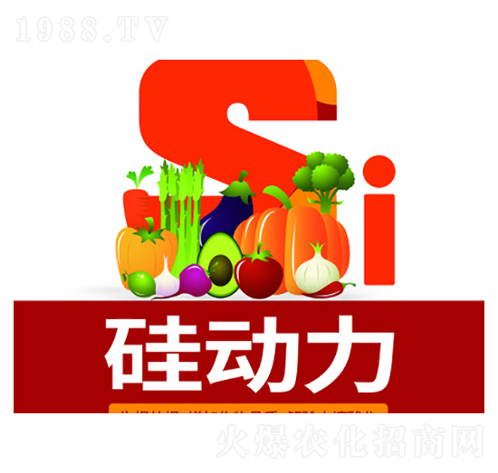 ���(d��ng)��-�f(w��n)���_(d��)