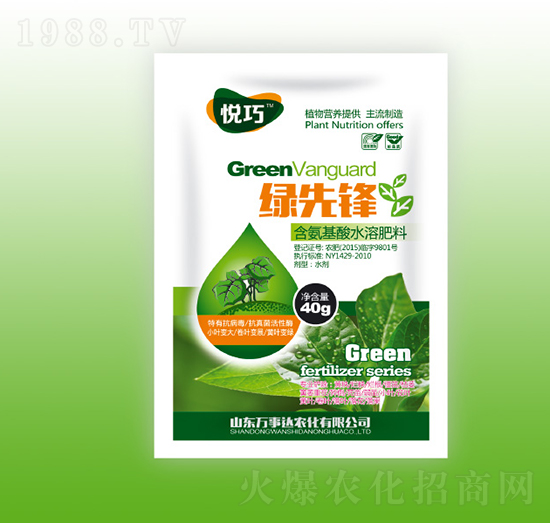 �G���h-����-�f(w��n)���_(d��)