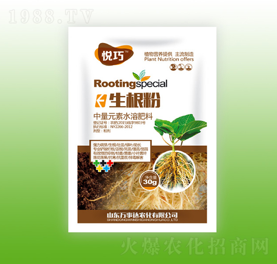 ������-����-�f(w��n)���_(d��)