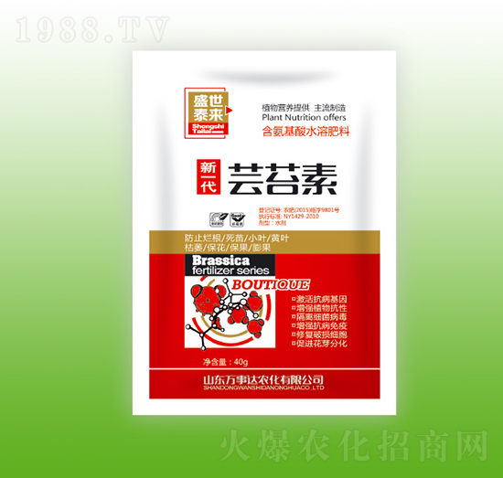 ��һ���|̦��-ʢ��̩��-�f���_