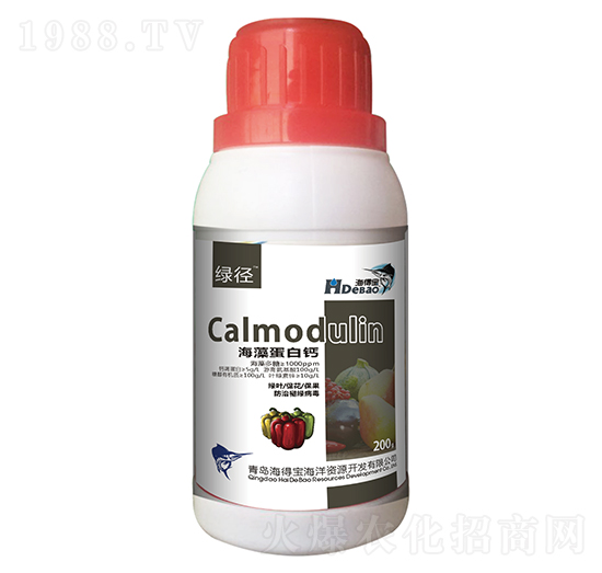 ���嵰���}-���Ì�