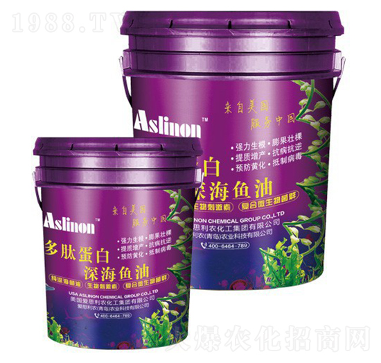 ���ĵ��ס���~��-�A�����r(n��ng)