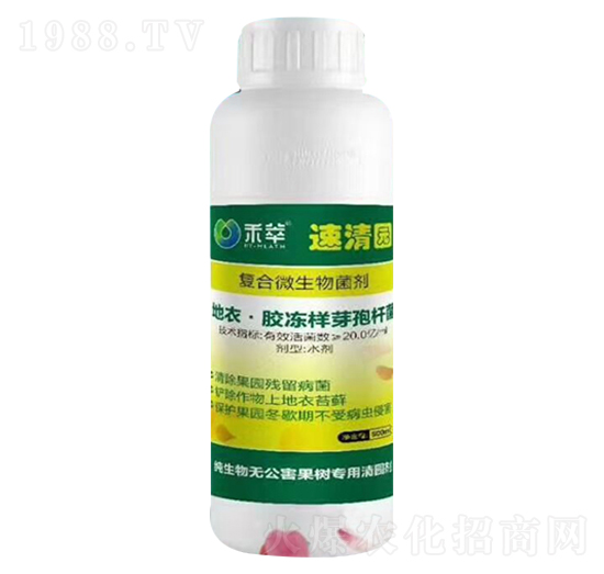 �ͺ�΢�������-����@-����