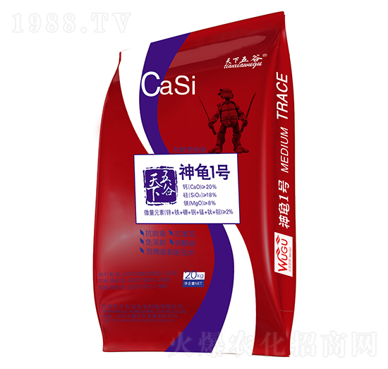 ����һ̖-�������