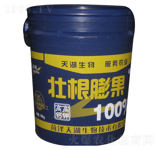 �Ѹ������-���