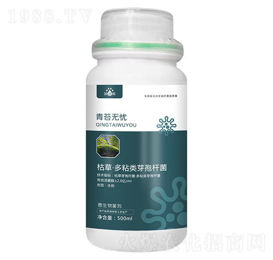 ��̦�o(w��)�n-��p�p-�������