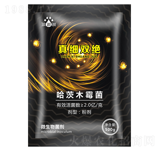 �漚(x��)�p�^��΢���������-��p�p-�������