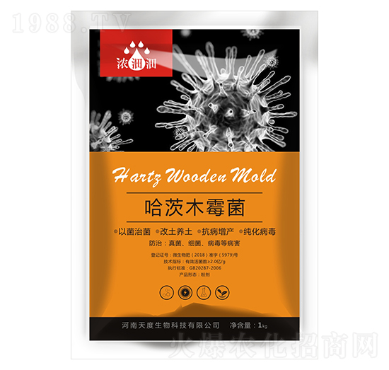 ����ľù��-��p�p-�������