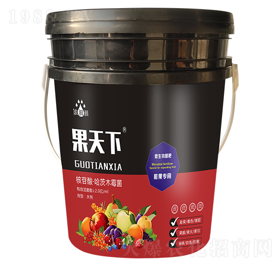 �����£�������ã�-��p�p-�������