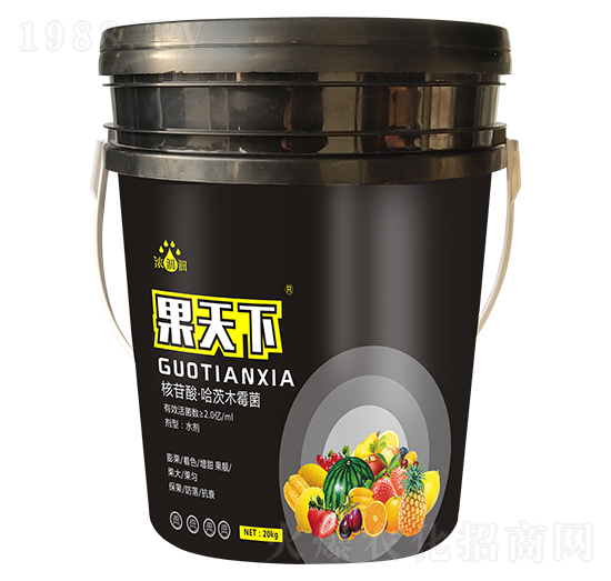 ������-��p�p-�������