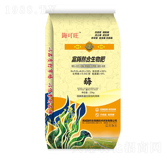 ���Y���������-�Y����-�ڿ�