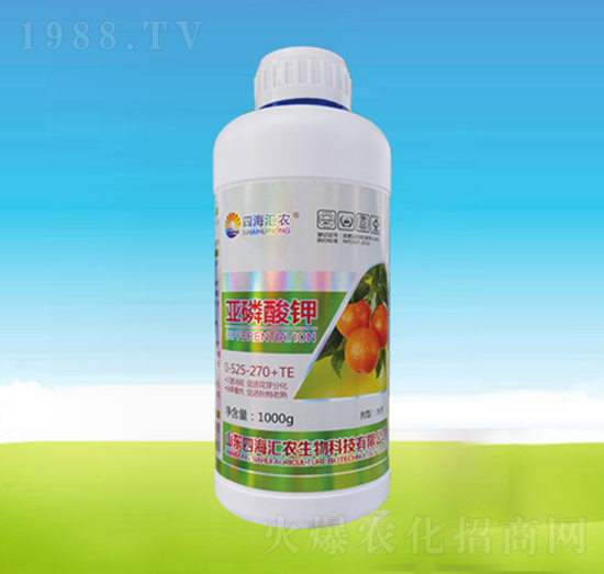 �������-�ĺ��R�r