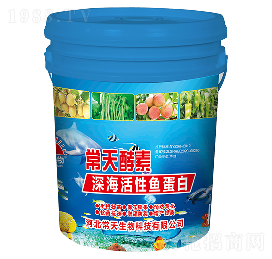 ��������~����-�������-��������