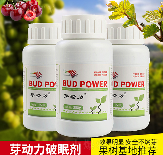 ѿ�������߄�-΢���r(n��ng)�I(y��)