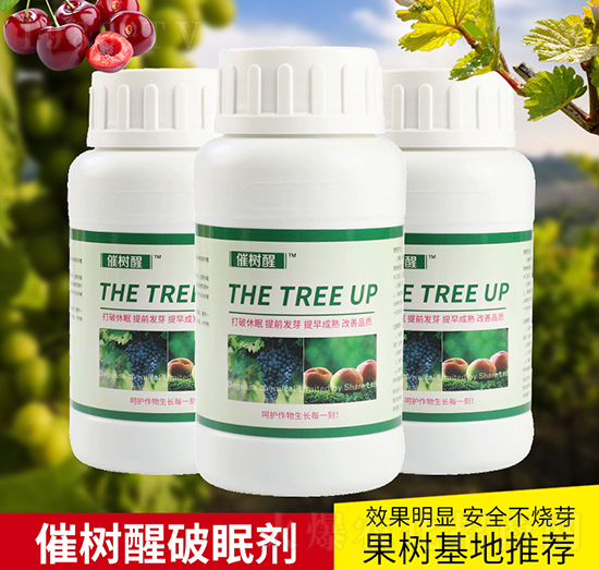 �ߘ������߄�-΢���r(n��ng)�I(y��)