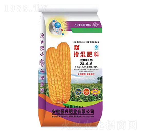 �������28-6-6-���d�ʘI(y��)