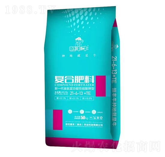 ��(f��)�Ϸ���21-6-13+TE-���Sţ-����ʢ�S