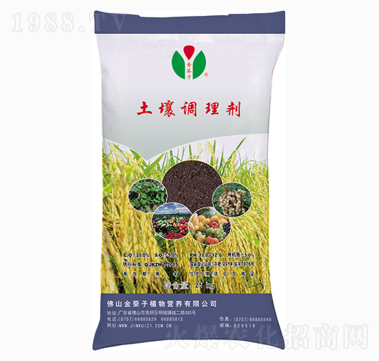 �����{�턩-�����