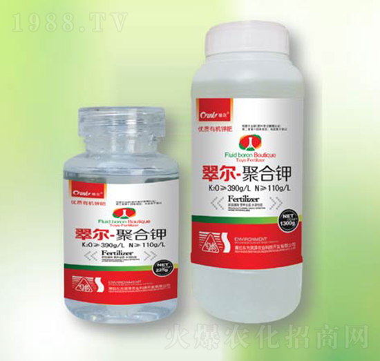 �ۺ��-�|������