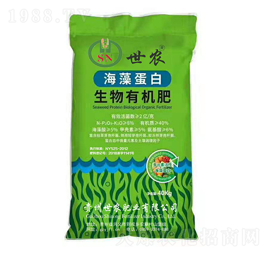 ���嵰�������ЙC��-���r