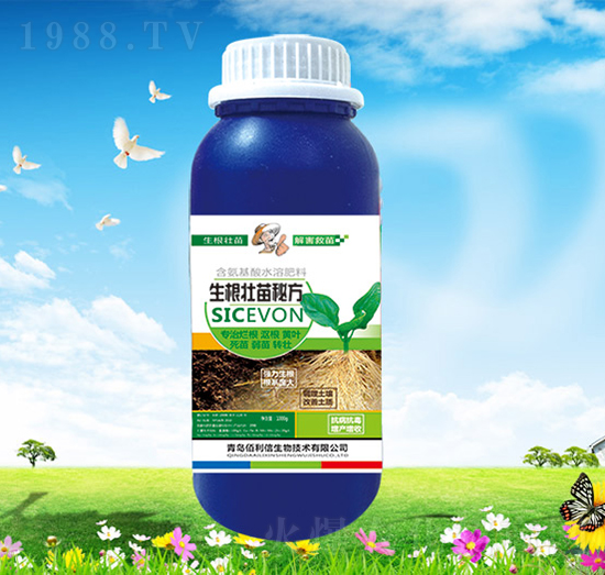 ���������ط�-��Ұ�r��