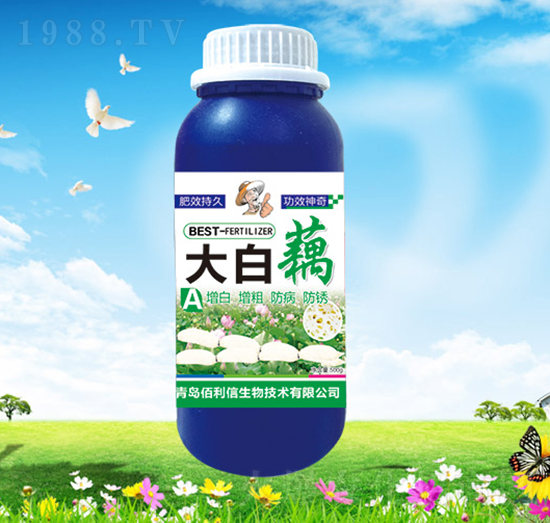 ���ź-��Ұ�r��